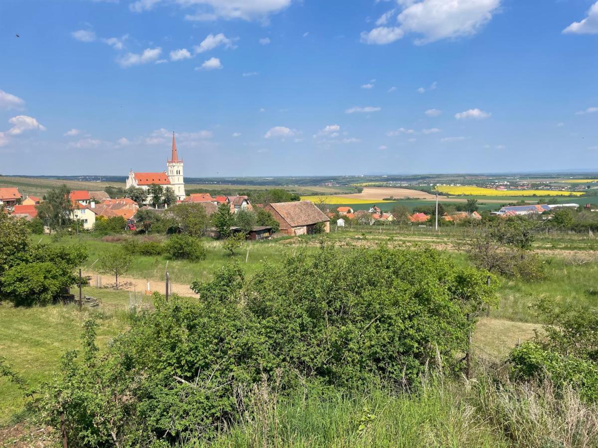 Apartman U Brezinu Znojmo Dış mekan fotoğraf